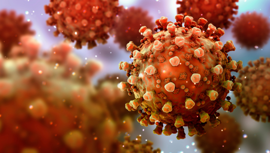 Pohľad na koronavírus spôsobujúci ochorenie Covid - 19. Zdroj: iStockphoto.com