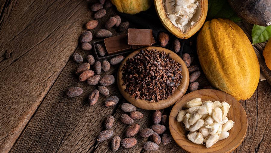 Kakaové bôby a plod kakaovníka. Zdroj: iStockphoto.com