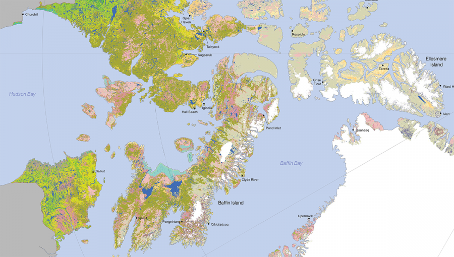 Výrez z vegetačnej mapy Arktídy. Zdroj: Geobotany.uaf.edu