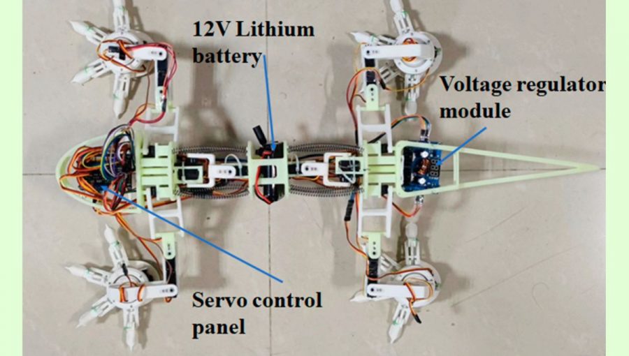 Na obrázku je robotická jašterica, ktorú opisuje článok. Zdroj: Tech Xplore/Chen et al (MDPI, 2023)