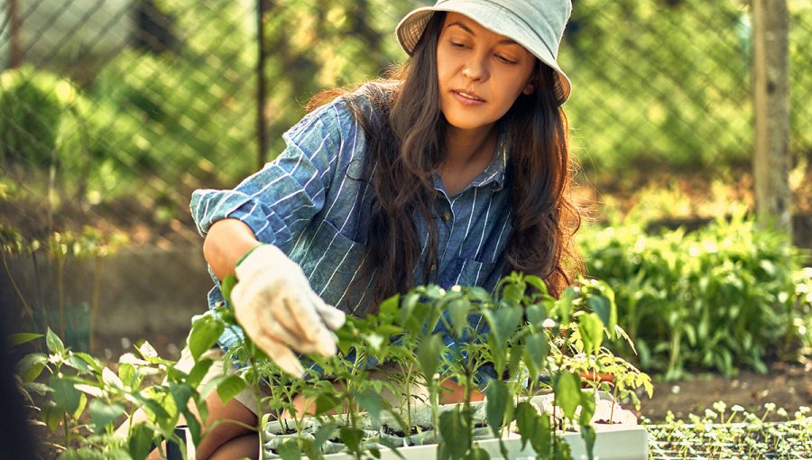 Žena v záhrade pripravuje sadenice. Zdroj: iStockphoto.com