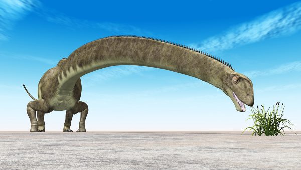 Dinosaurus druhu Mamenchisaurus. Zdroj: iStockphoto.com