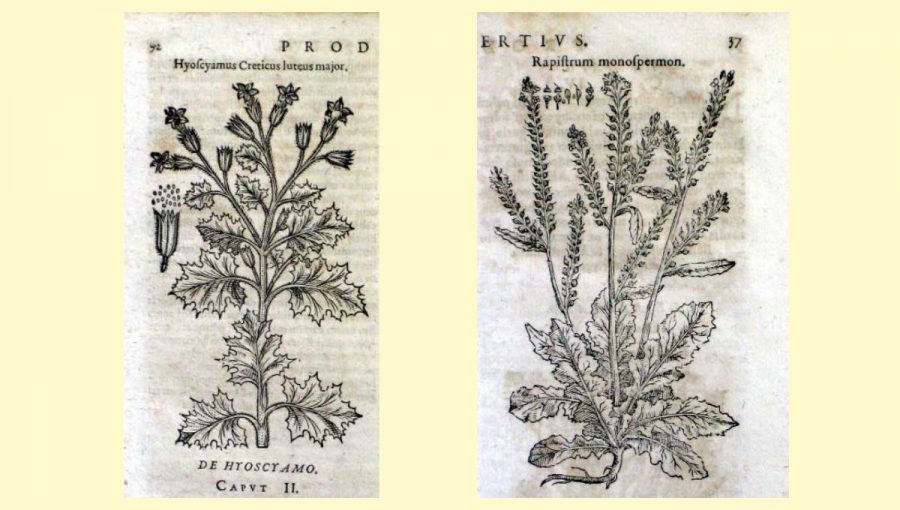 Prodromoc theatri botanici. Zdroj: Edward Worth Library