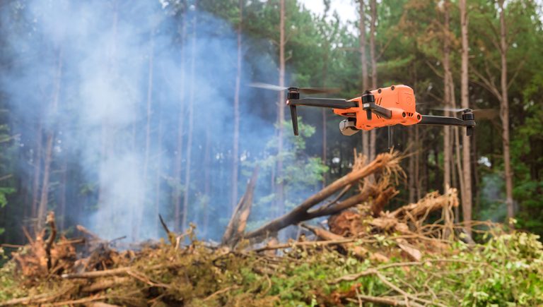 Dron lokalizuje lesný požiar. Zdroj: iStockphoto.com