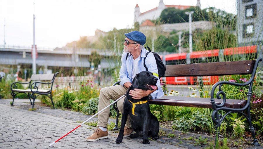 Zrakovo postihnutý človek a jeho vodiaci pes. Zdroj: iStockphoto.com