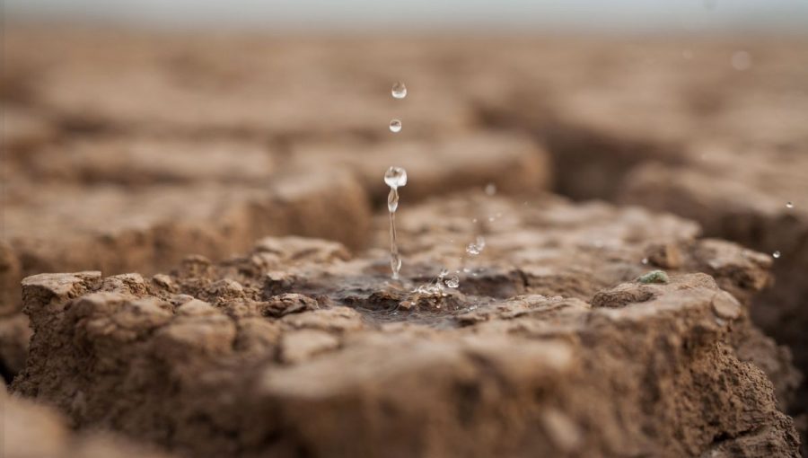 Termín bleskové povodne väčšina z nás pozná, celkom inak je to však s bleskovým suchom. Zdroj: iStockphoto.com