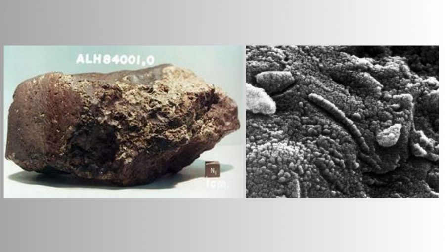 Meteorit Allan Hills 84001. Vľavo celkový pohľad (pre porovnanie kocka s hranou 1 cm), vpravo údajná „fosília“. Zdroj NASA