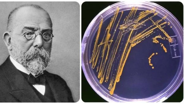 Mikrobiológ Julius Richard Petri a jeho vynález Petriho miska. Foto: wikipedia/ twitter The nature of invention