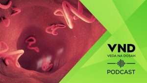 PODCAST: Parazity v ľudskom tele. Zdroj: CVTI SR