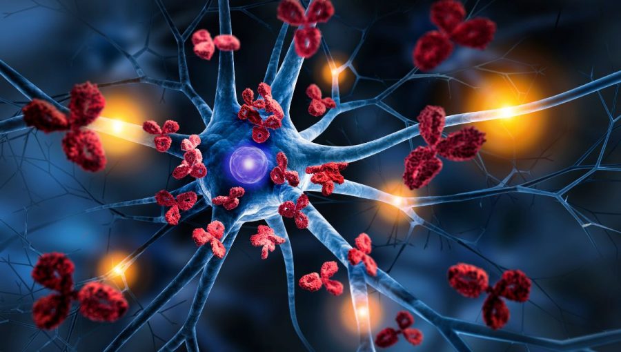 Nervová bunka napadnutá Protilátkami/3D ilustrácia autoimunitného ochorenia. Zdroj: iStockphoto.com