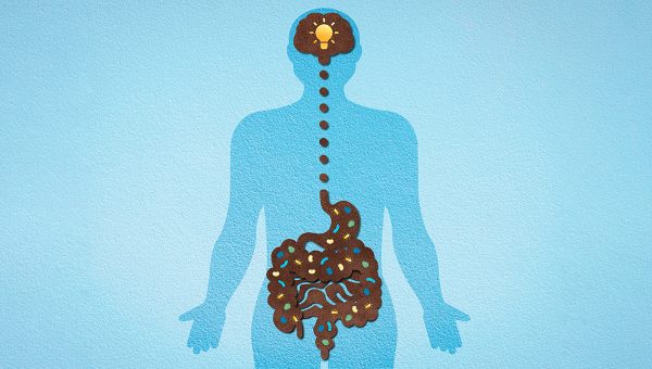 Súvislosť medzi črevným mikrobiómom a mozgom. Zdroj: iStockphoto.com