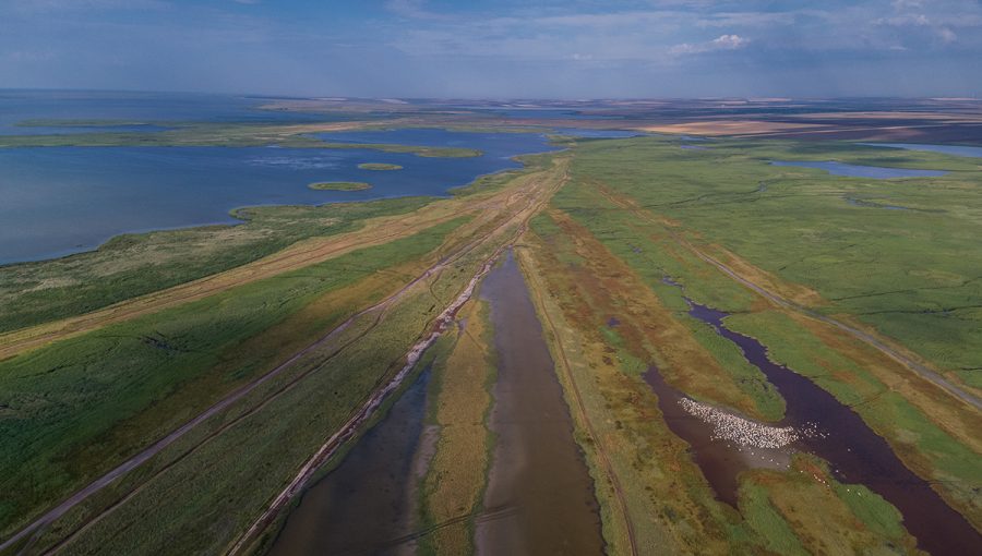 Pohľad na deltu Dunaja z výšky. Zdroj: iStockphoto.com