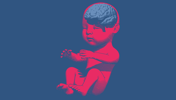 Ilustrácia mozgu dieťaťa. Zdroj: iStockphoto.com