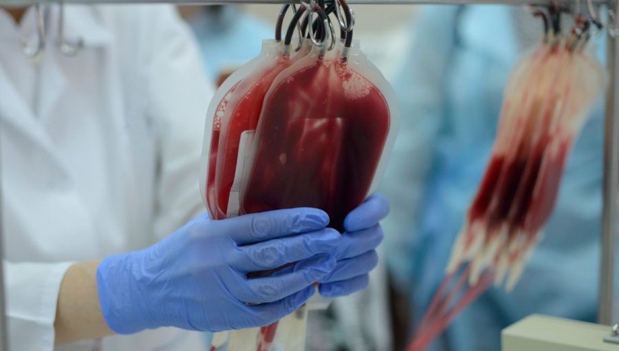 V letnom období krv v nemocniciach najviac chýba. Zdroj: iStockphoto.com