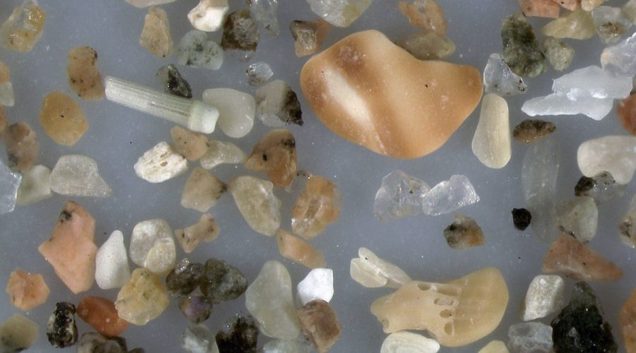 Zloženie piesku pod mikroskopom. Zdroj: Robert Maronpot/Magnified Sand