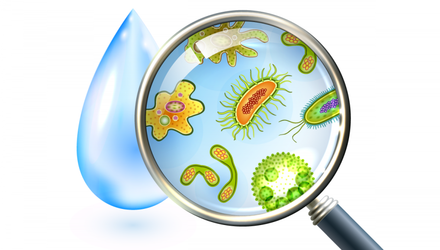 Baktérie a vírusy v kvapke vody. Zdroj: iStockphoto.com