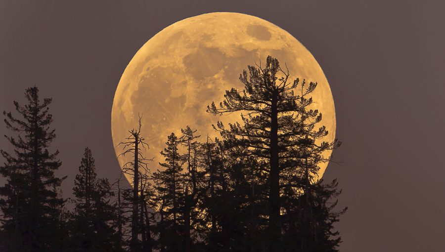 Mesiac v supersplne. Zdroj: iStockphoto.com