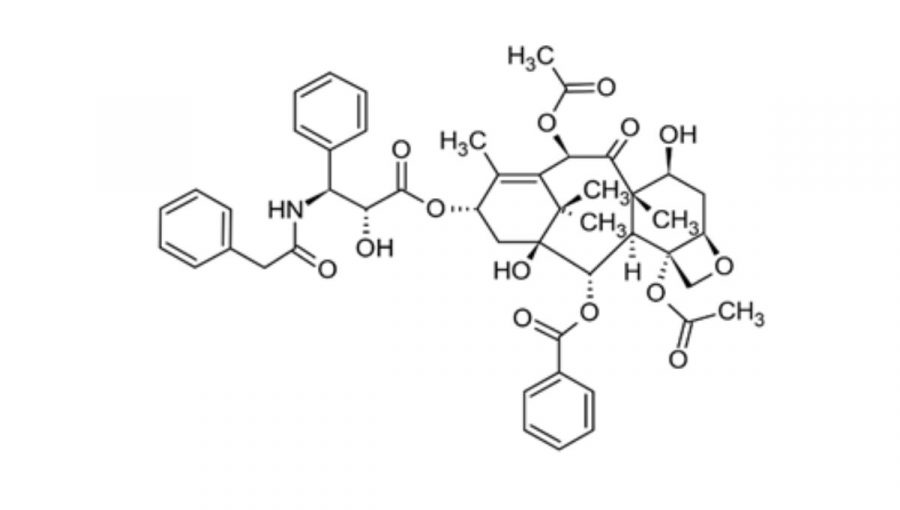 Chemický vzorec taxolu (paklitaxelu). Zdroj: Wikipedia