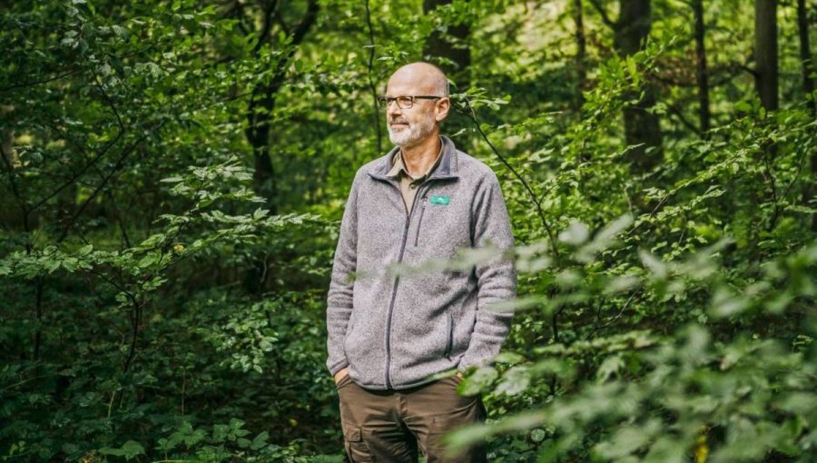 Peter Wohlleben odporúča v lese sa nenáhliť. Zdroj: iStockphoto.com