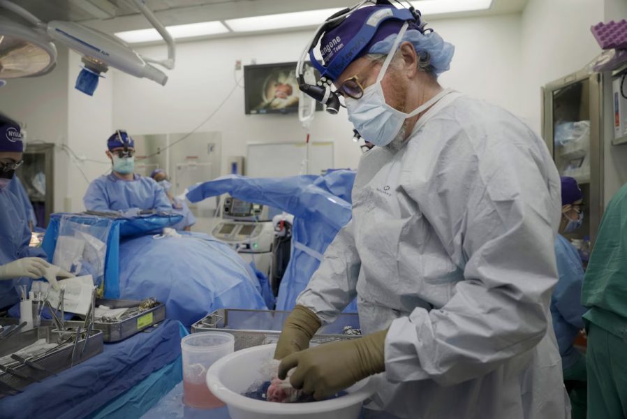 Doktor Robert Montgomery počas transplantácie. Zdroj: Shelby Lum/AP