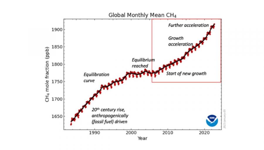 Obr. 2: Vývoj globálnej koncentrácie metánu od roku 1984 podľa meracích staníc NOAA. Kým na začiatku minulého storočia dominoval spomaľujúci rast vrcholiaci stabilizáciou po roku 2000, od roku 2006 pozorujeme opätovné zrýchľovanie koncentrácie metánu. V rokoch 2020 a 2021 bol tento nárast rekordný. Zdroj: Nisbet a kol., 2023