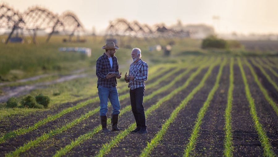 Dvaja poľnohospodári v poli kukurice so zavlažovacím systémom v pozadí. Zdroj: iStockphoto.com
