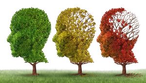 Nárast počtu ľudí trpiacich Alzheimerovou chorobou je celosvetovým trendom. Dôvodom je starnutie populácie, ktoré je najvýznamnejším rizikovým faktorom tohto neurodegeneratívneho ochorenia, ktoré podľa Svetovej zdravotníckej organizácie postihuje viac než 55 miliónov ľudí. Ilustračný obrázok. Zdroj: iStockphoto.com