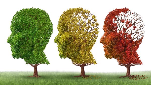 Nárast počtu ľudí trpiacich Alzheimerovou chorobou je celosvetovým trendom. Dôvodom je starnutie populácie, ktoré je najvýznamnejším rizikovým faktorom tohto neurodegeneratívneho ochorenia, ktoré podľa Svetovej zdravotníckej organizácie postihuje viac než 55 miliónov ľudí. Ilustračný obrázok. Zdroj: iStockphoto.com