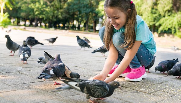 Dievča kŕmi holuby. Zdroj: iStockphoto.com
