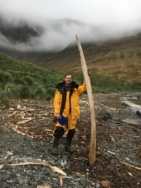 Výskumník Scott Baker z Oregonskej štátnej univerzity s veľrybími kosťami na ostrove Južná Georgia.