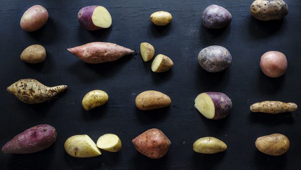 Rôzne druhy zemiakov. Zdroj: iStockphoto.com