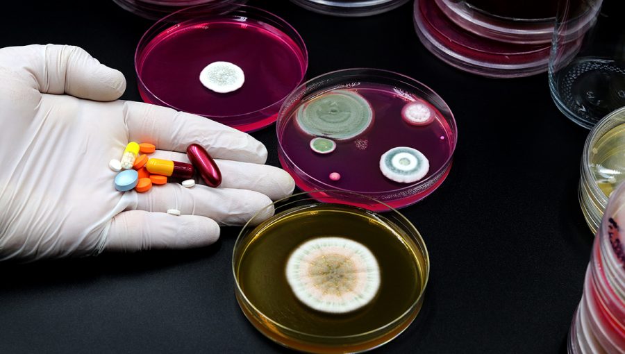 Výskum mikroorganizmov a liekov. Zdroj: iStockphoto.com