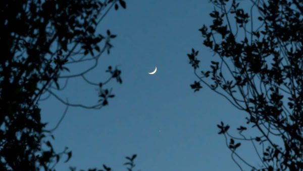 Mesiac v pondelok zakryje Venušu. Úkaz bude viditeľný aj voľným okom. Zdroj: iStockphoto.com
