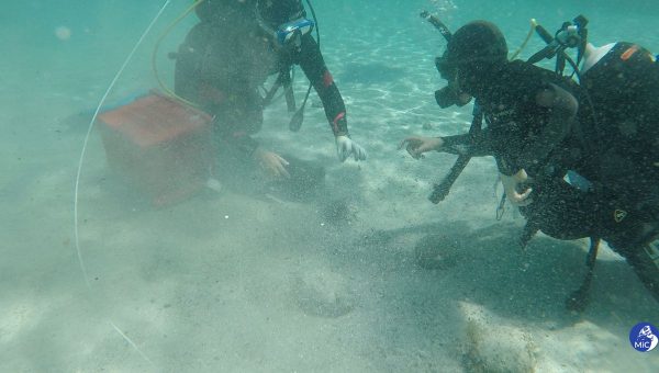 Potápači vylovili z vody okolo 30 000 až 50 000 antických mincí. Zdroj: Ministero della cultura