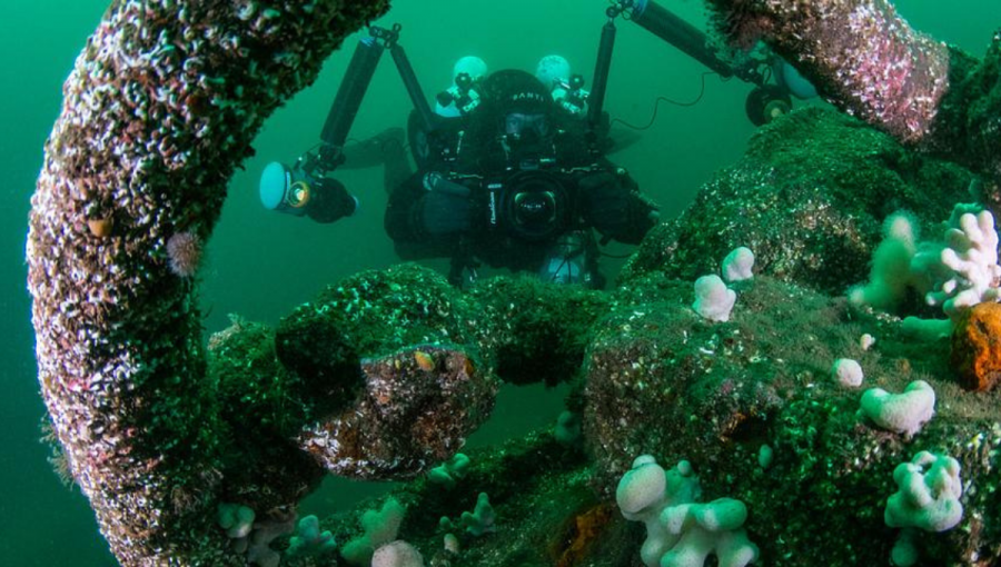 Potápač skúma vrak pri pobreží Berwickshire a zaznamenáva údaje, ktoré boli následne použité na lepšie pochopenie biodiverzity, v okolí vrakov lodí.
