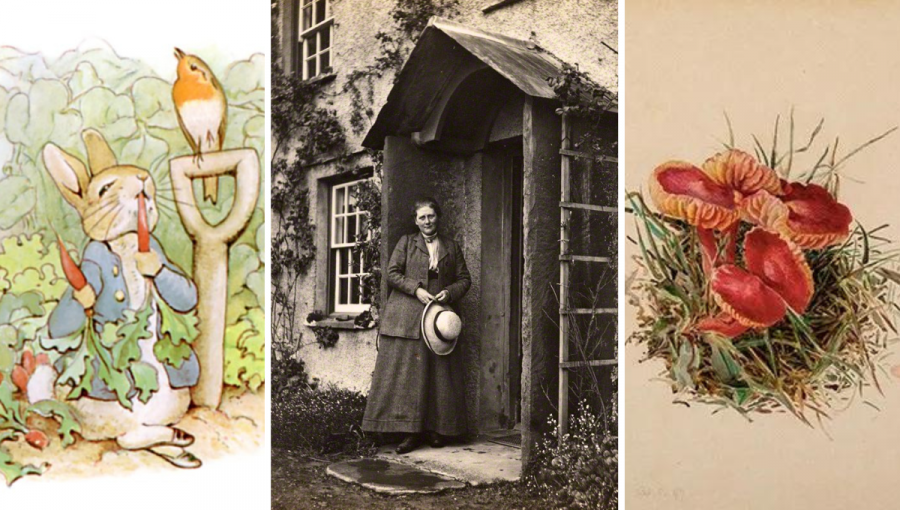 Králik Peter, Beatrix Potterová pred svojím domom, ilustrácia huby