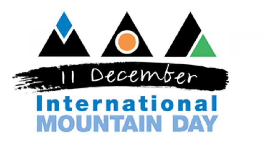 Logo Medzinárodného dňa hôr. Zdroj: ŠOP SR