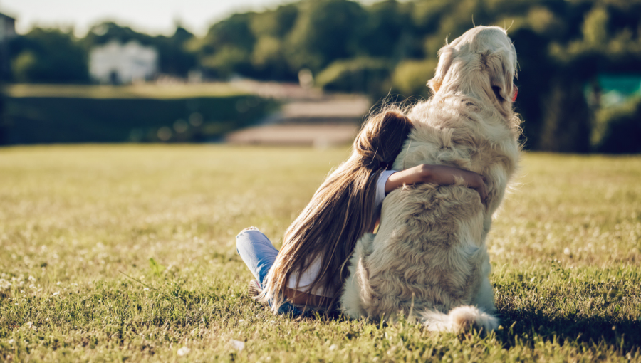 Dievča a veľký pes sedia na lúke