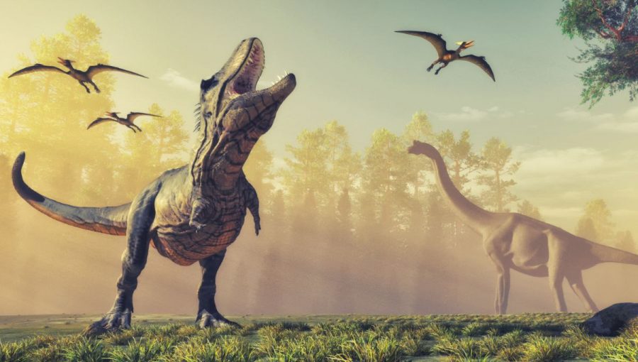 Mŕtvy gorgosaurus mal na šírku bedier 5 a pol metra a je vôbec prvým tyranosaurom, ktorému sa zachoval obsah žalúdka. Zdroj: iStockphoto.com