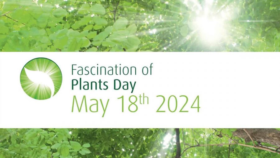 Deň fascinácie rastlinami 2024. 18. mája 2024