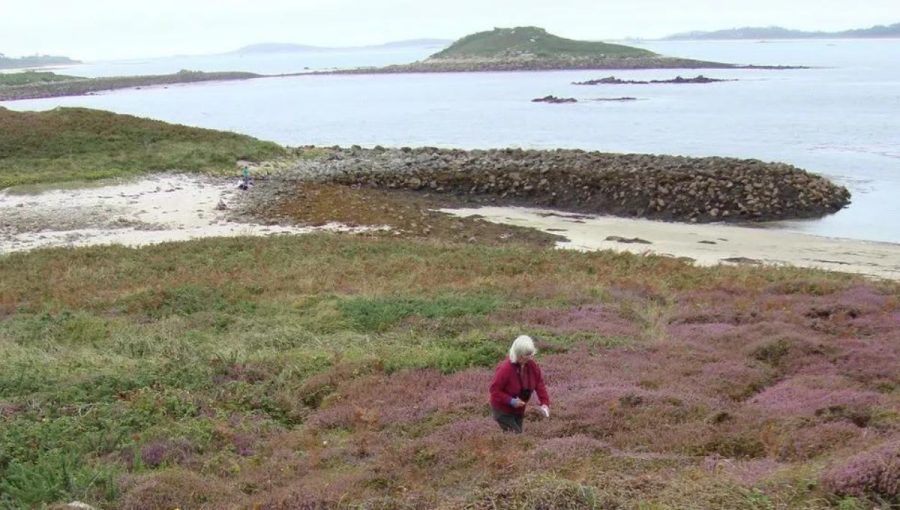 Zimné expedície na Scilly Islands sú pre Rosemary Parslow už akousi tradíciou. Zdroj: Rosemary Parslow