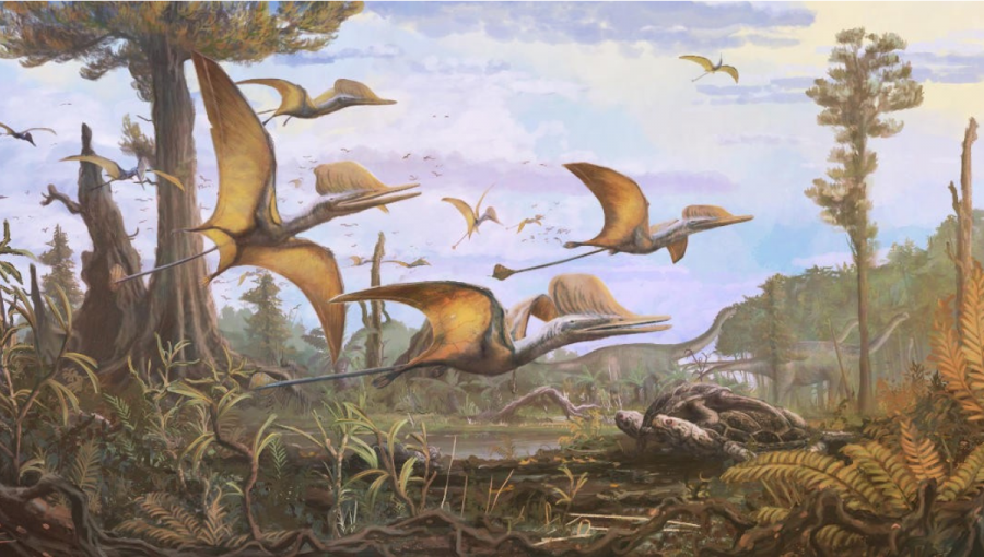 Ilustrácia pterosaura Ceoptera Evansea