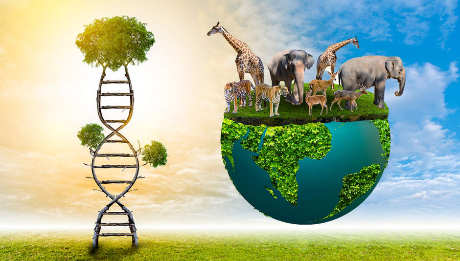 DNA z kmeňa stromu a zemeguľa so zvieratami. Zdroj: iStockphoto.com