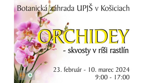 Výstava: Orchidey 2024 – skvosty v ríši rastlín