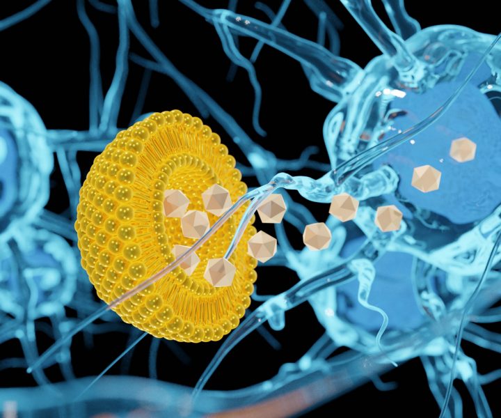 Nanočastice v lipozomálnej kapsule. Zdroj: iStockphoto.com