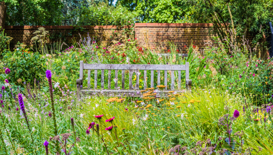 Anglická záhrada s lavičkou