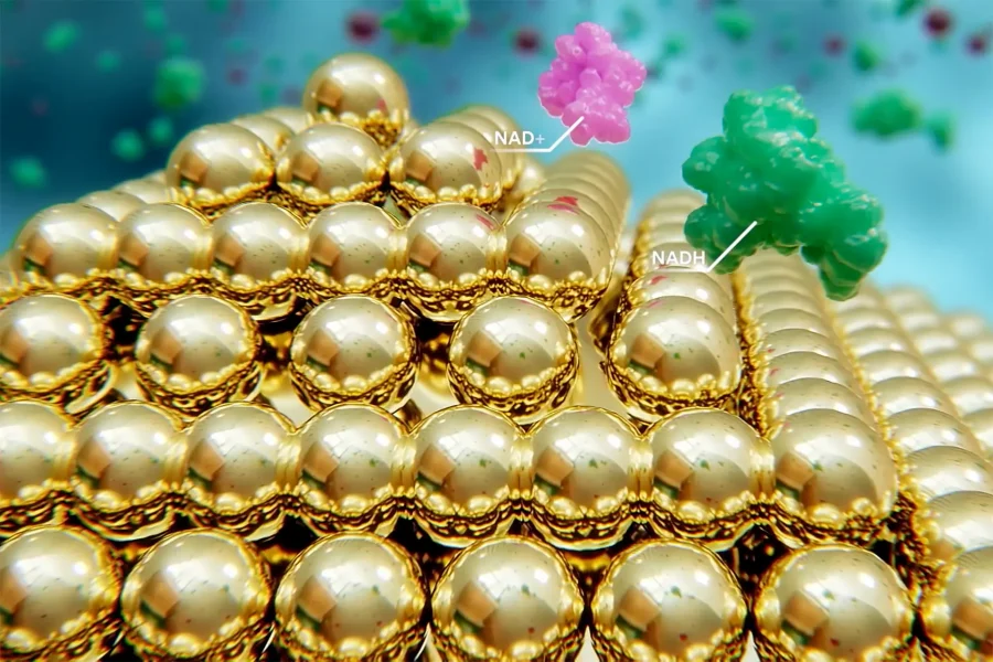 Povrch zlatých nanokryštálov rýchlo katalyzuje NADH na NAD+. Zdroj: Clene Nanomedicine