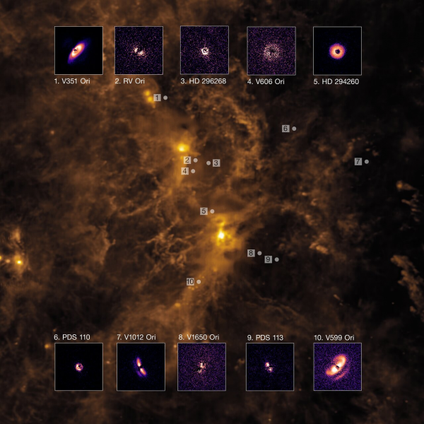 Disky formujúce planéty okolo mladých hviezd a ich poloha v oblaku Orión
