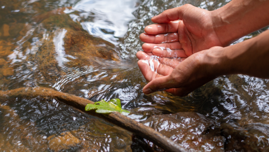 Ruky naberajúce vodu z potoka