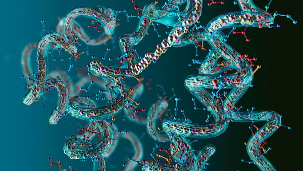 3D vizualizácia proteínu